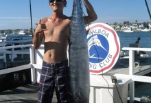 Tropical Fish Showing Up in SoCal Waters