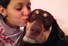 Family Dog Returns After 47 Days Missing