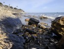 Refugio Rupture Informs Heavy Crude Spill Study