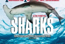 volume 29, number 510, Oct. 22-29, 2015