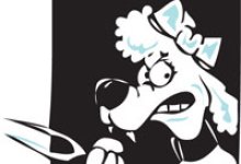 Santa Barbara City Council Loses 0-to-0