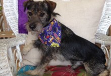 A Season of Kindness