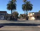 Unremitting Evolution of Downtown I.V.
