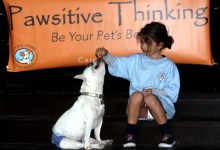 Kids Play Santa Elves to Dogs and Cats