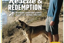 volume 30, number 517, Dec. 10-17, 2015