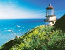 Decision Time for Marijuana Growers