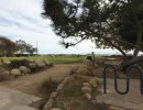 A Community Measured by Its Parks