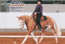 Soby Succeeds at Dressage Worlds