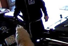 Detectives Investigate Suspected Car Theft