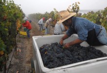 Santa Barbara Vintners’ $1.7 Billion Argument 