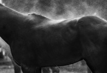 Kim Reierson and Dalva Duarte