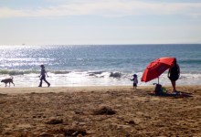 What the Hell Is Going On?