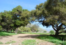 Veronica Meadows to Become Public Park