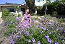 Sweetwater Collaborative Are Water Wizards for Drought