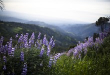 Earth Day Vision Quests