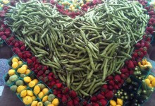 Fairview Gardens Cultivates Education