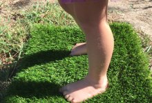 Should I Go for Artificial Grass?