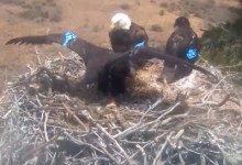 Velo Wings Awardees Get Kids in Motion