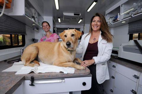 Mobile pet doctor near cheap me