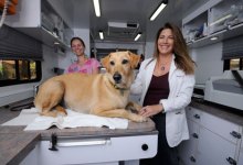 From the Heart Mobile Vet Visits You