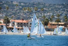 Sucking Salt with the Sea Shells