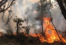 Fire Teams Hammering Scherpa’s East, West Borders