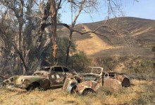 Scherpa, Sherpa, or Chirpa?