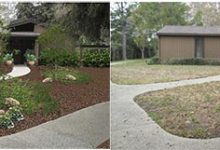 Profiles in Design: Landscape Designer Donna Lynn