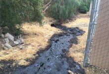 Oil Spill Reported in the City of Ventura