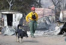 Sheriff’s Canines Search Erskine Fire’s Wasteland