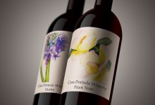 Casa Dorinda Pinot Noir