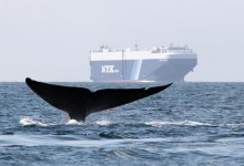 Program Awarded for Reducing Toxic Emissions in S.B. Channel