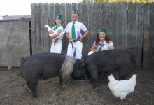 Raising Pigs for the County Fair