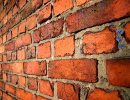 Going Green: Bricks and Microbes