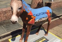 DemCon 2016: The Democratic Convention Begins