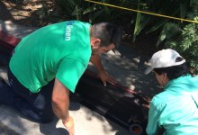 City Preps for Fiesta