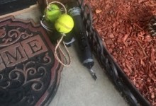 Cops Thrown Curveball by Curious Pipe Device