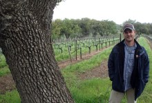 Old Vines and New Wines at Koehler Winery
