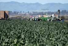 Overtime Pay for Farmworkers?