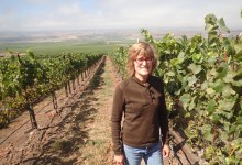 Quality and Quantity at Cambria Winery