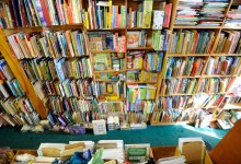 Summer Reading Suggestions