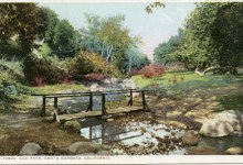 History of Oak Park
