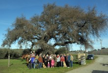 Winery Ordinance Reality Check