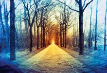 Glen Phillips Releases New Record