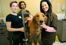 My Life: Happily Back to Working Minimum Wage