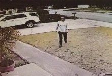 Package Thief Caught on Video