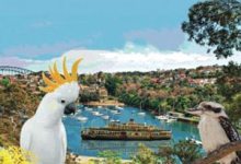 John C. Holman Pens ‘Pom’s Odyssey’