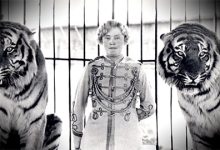 Mabel Mabel Tiger Trainer