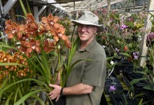 Orchid Fest Insight with Wayne Ferrell