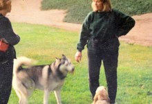 Maureen Lance: 1938-2017